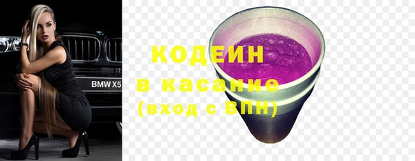 дурь Няндома