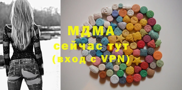 дурь Няндома