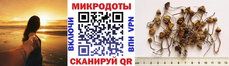 OMG как войти  Навашино  Галлюциногенные грибы мицелий 